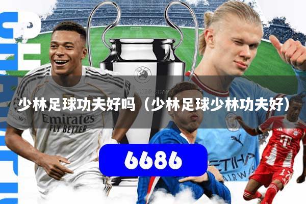 少林足球功夫好吗（少林足球少林功夫好）